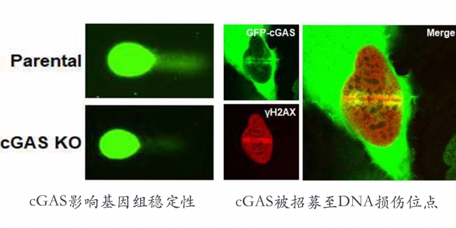 微信图片_20181025120200 微信图片_20181025120200