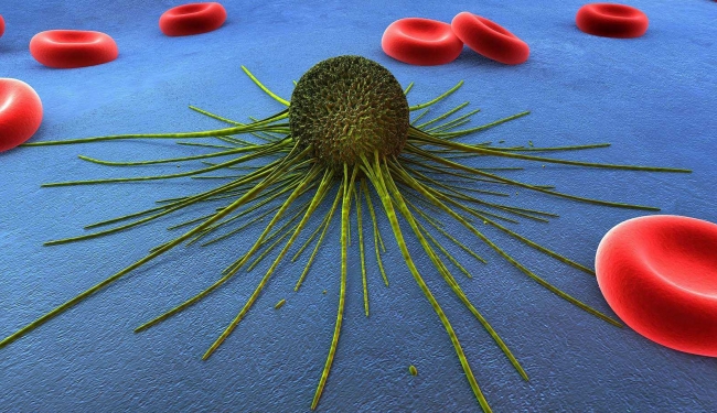 转化医学1_副本 转化医学1_副本