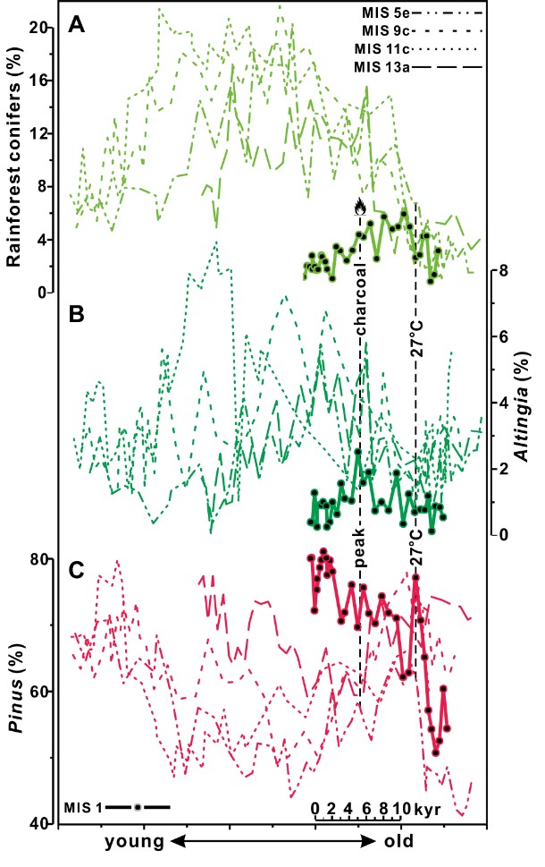 图2. 花粉指示的关键植物种类或组合的丰度在不同各间冰期中的变化。纵线显示海表温度达27℃及炭屑峰值的时间。 图2. 花粉指示的关键植物种类或组合的丰度在不同各间冰期中的变化。纵线显示海表温度达27℃及炭屑峰值的时间。