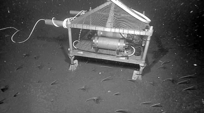 Img312095087 Img312095087