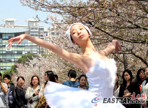 白天鹅2 白天鹅2