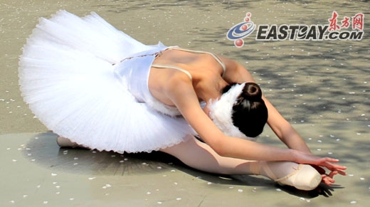 白天鹅3 白天鹅3