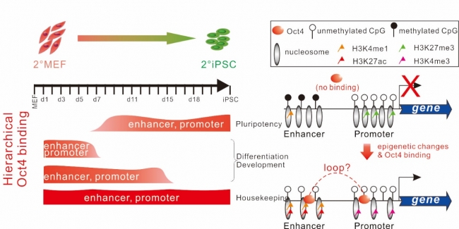 20160129022438_98544