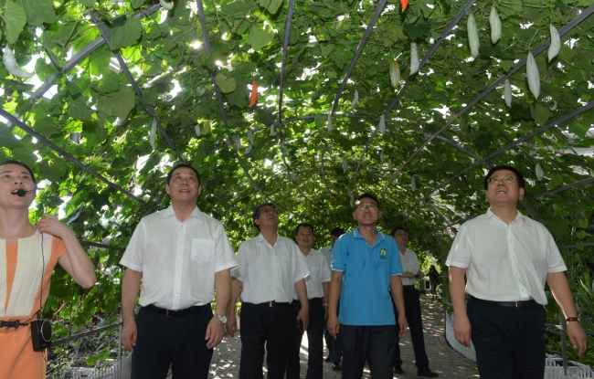 DSC_3273 - 副本 DSC_3273 - 副本