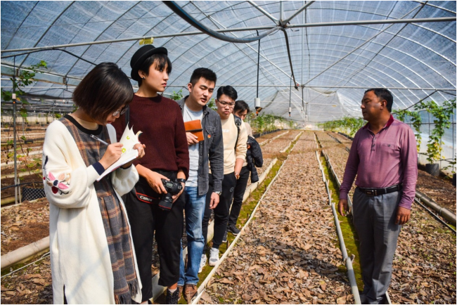 QQ图片20171103095117