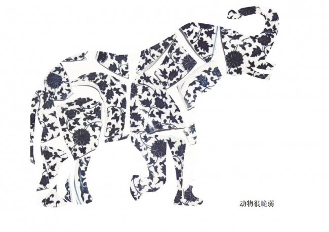 获奖作品《动物很脆弱》