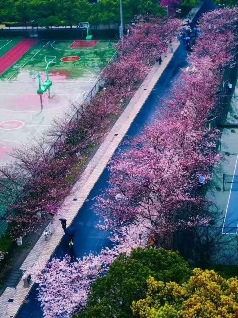 微信图片_20170401103452 微信图片_20170401103452