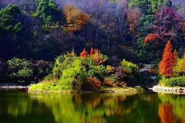 微信图片_20180319102829