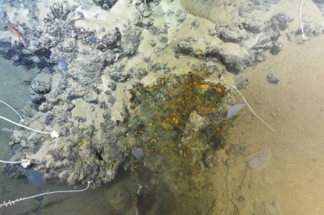 海底古热液烟囱