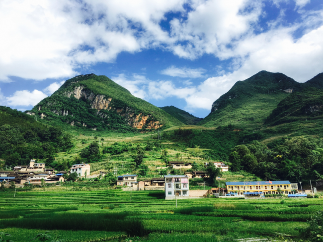 微信图片_20180612151720 微信图片_20180612151720