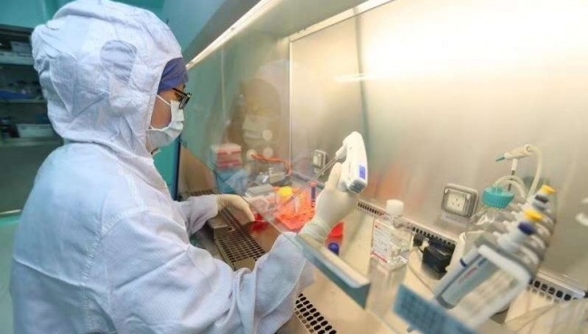 image003_Fotor image003_Fotor